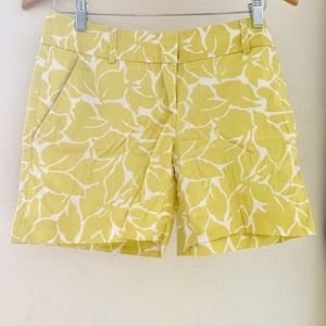 Loft shorts